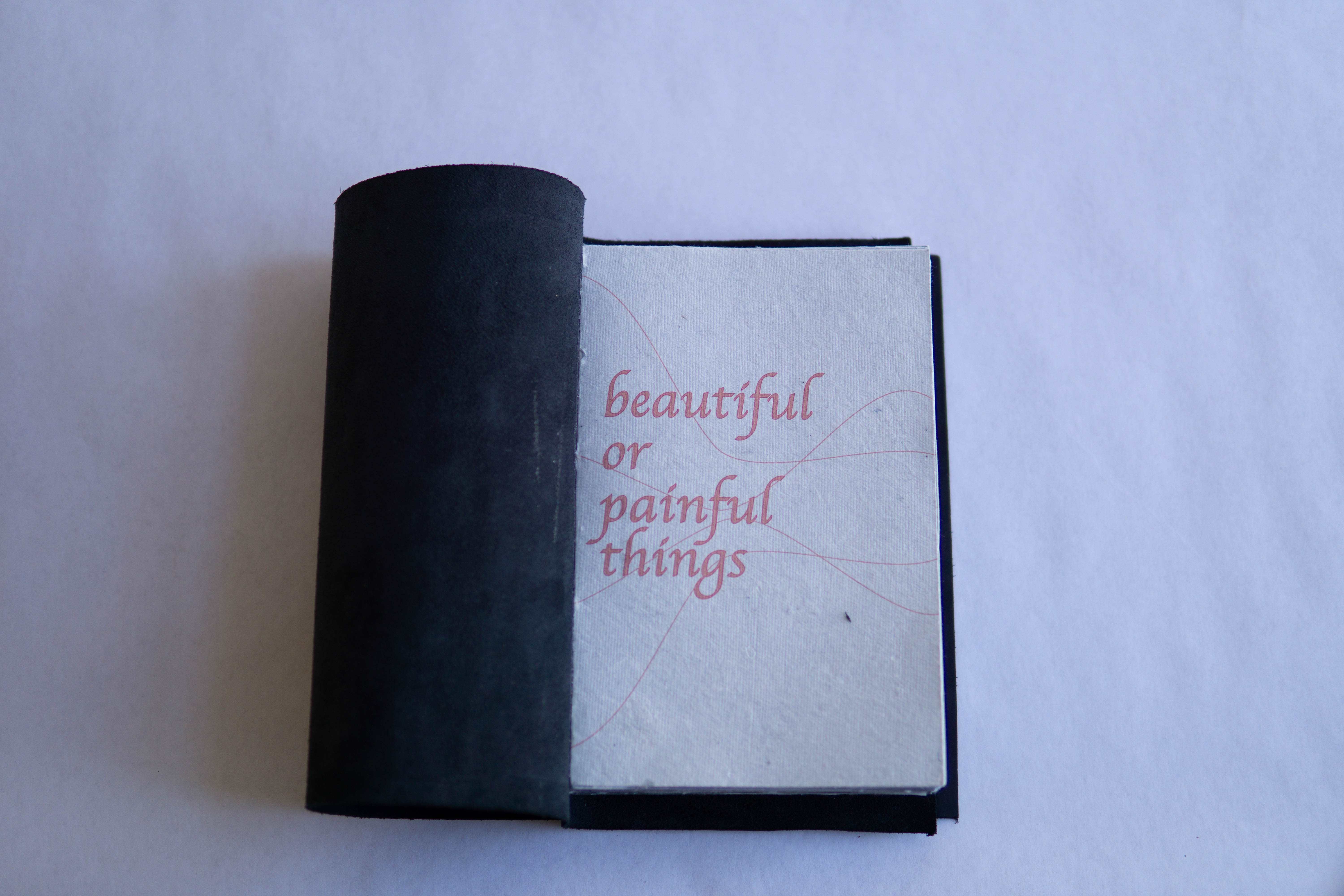 Beautiful and Painful Things Book
